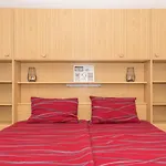 Cesljar Apartman *